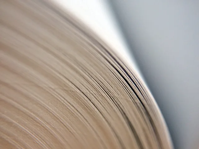book, school, macro, educate, read, reading, text, library, textbook, education, brown book, brown school, brown books, brown education, brown library, brown reading. Campaign case studies mistakes: reading and writing them