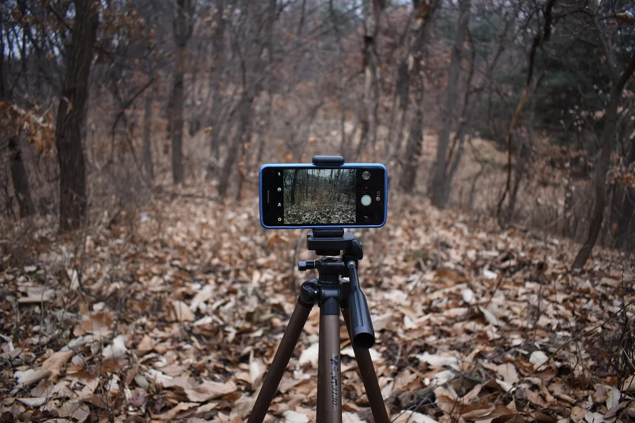 smartphone, camera, photo, video, filming, cell phone, tripod, movie, shooting, tripod, tripod, tripod, tripod, tripod. What Are Canadian Influencer Disclosure Rules?