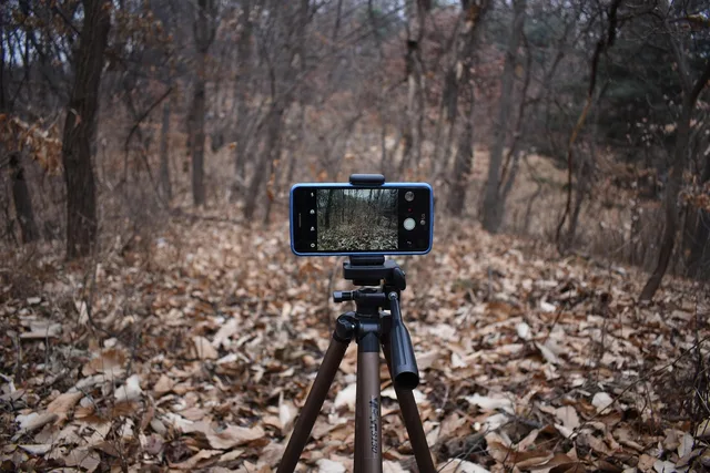 smartphone, camera, photo, video, filming, cell phone, tripod, movie, shooting, tripod, tripod, tripod, tripod, tripod. What Are Canadian Influencer Disclosure Rules?
